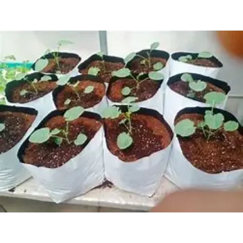 Light Weight HDPE Grow Bags