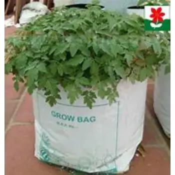 Multicolor HDPE Grow Bags