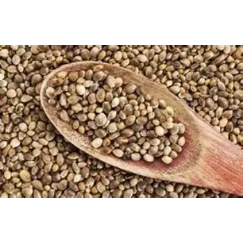 Natural Hemp Seeds