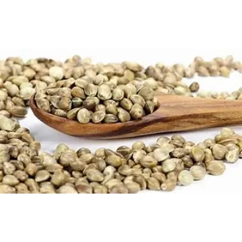 Organic Hemp Seeds