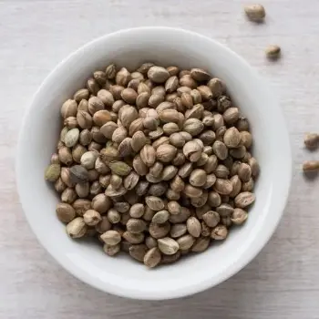 Natural Hemp Seeds