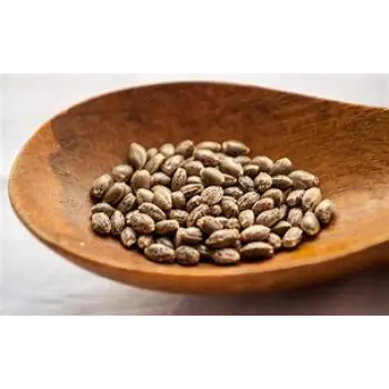 Hemp Seeds