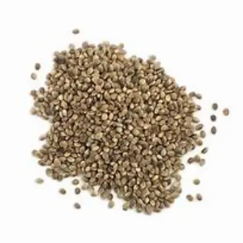 Hemp Seeds