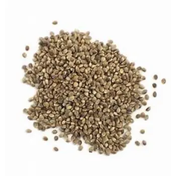 Fresh Hemp Seeds