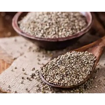 Hemp Seeds