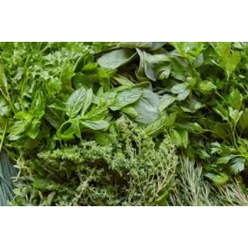 Natural Herbal Plant