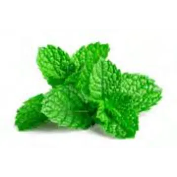 Natural Herbal Plant