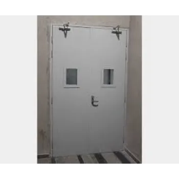 Plain Hollow Metal Door