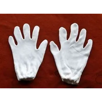 Ravishing Hosiery Hand Gloves