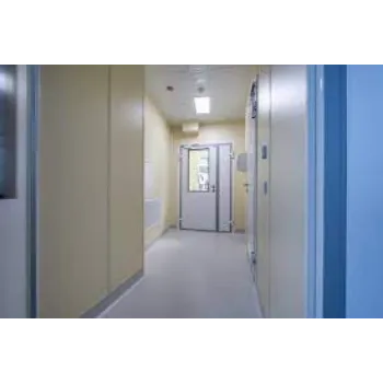  Annai Hospital Doors