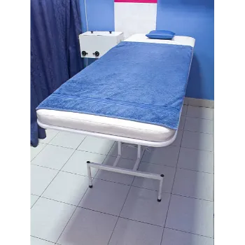Plain Hospital Fowler Bed