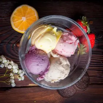 Reuseable Ice Cream Bowl