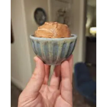 Swara Ice Cream Bowl