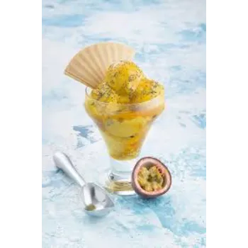 Viren Enterprises Ice Cream Bowl