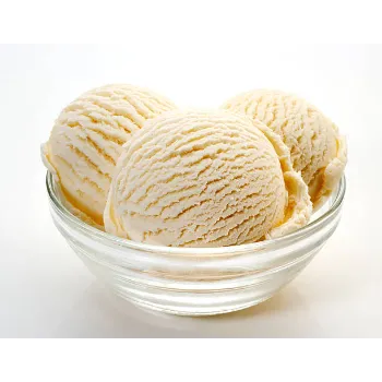 Dharti Ice Cream Bowl