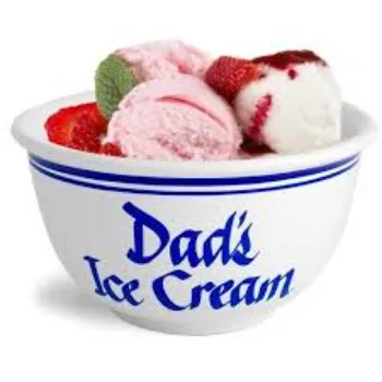 Indian Ice Cream Bowl