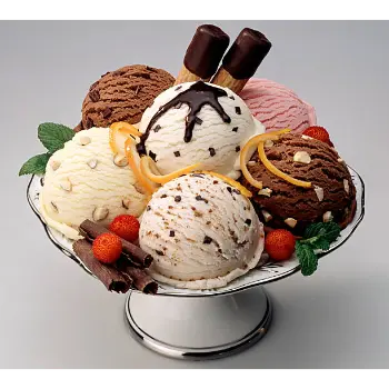 Easy To Carry Ice Cream Bowl