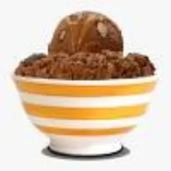 Shree Ram Products Pvt Ltd Ice Cream Bowl