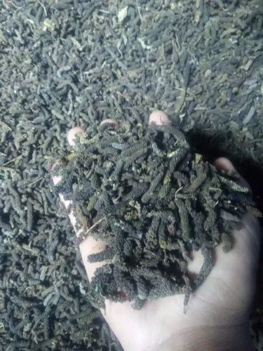Fresh Organic Long Pepper
