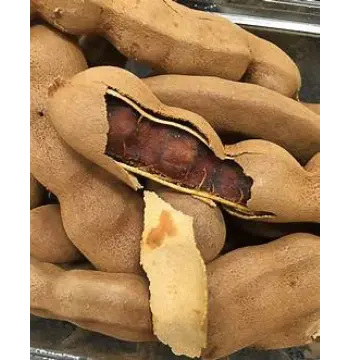 Fresh Imli