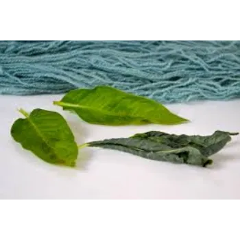 Dry indigo leaves