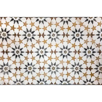 Shambhavi Indian Marble