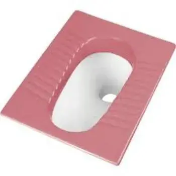 Pink Indian Toilet