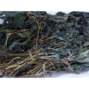Natural Dried Indigo Leaves
