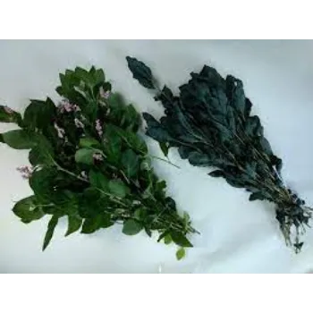 Organic Dried Indigo Leaves
