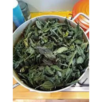 Dried Indigo Leaves