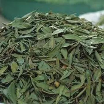 Dry Indigo Leaves