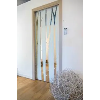 Hinged Interior Glass Door