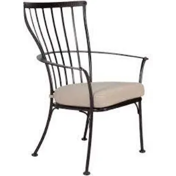 Fine Finishing Iron Arm Chair