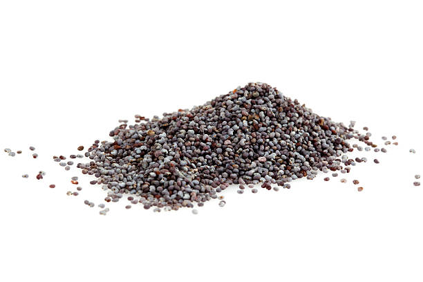 Fresh Black Mustard Seed