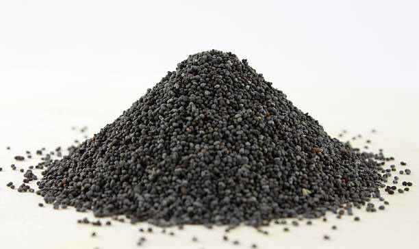 Common Black Mustard Seeds