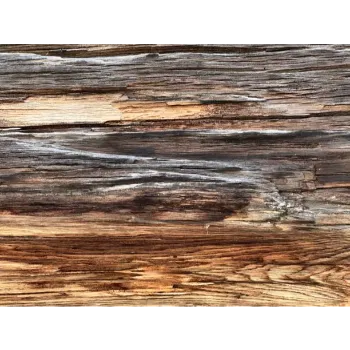 Modern Italian Slatestone