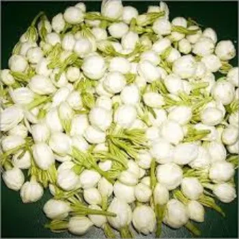 Fresh Jasmine Flowers