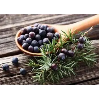 Juniper Berries