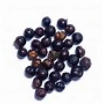 Juniper Berries Manufacturer