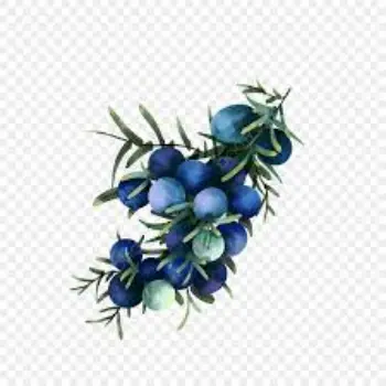 Juniper Berries