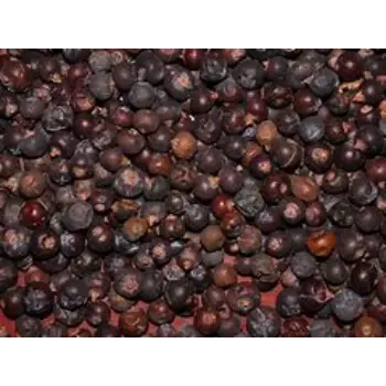 Common Juniper Berries