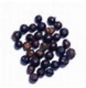 Fresh Juniper Berries Supplier