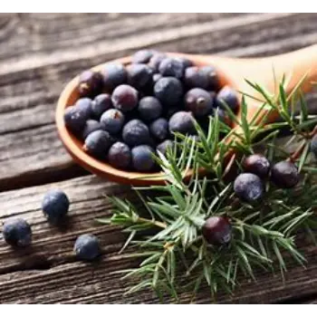 Juniper Berries