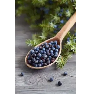 Fresh Juniper Berries