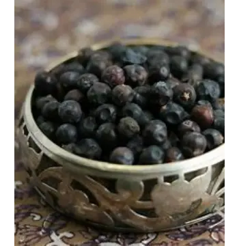 Fresh Juniper Berries