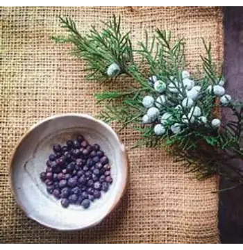 Fresh Roasted Chicory Cubes