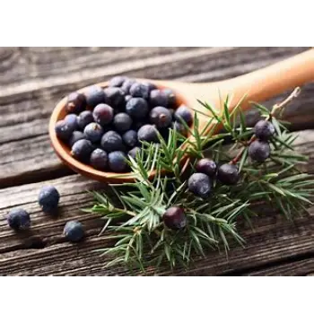 Fresh Juniper Berries