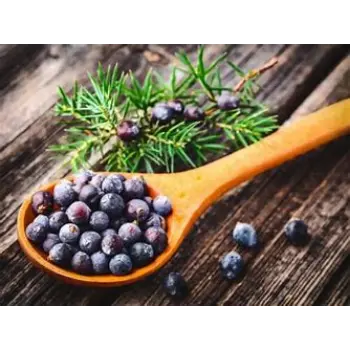 Fresh Juniper Berries