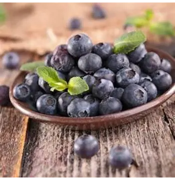 Fresh Juniper Berries