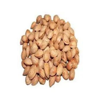 Common Kagzi Almonds